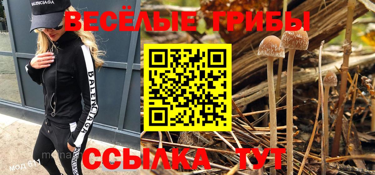 Псилоцибиновые грибы Psilocybine cubensis Зима