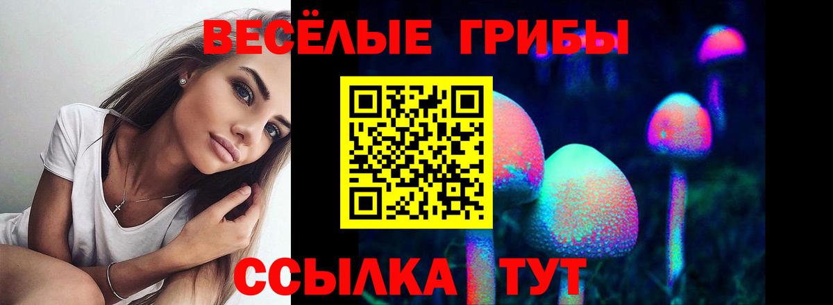 Галлюциногенные грибы Cubensis  Вход с VPN  что такое   Галлюциногенные грибы MAGIC MUSHROOMS  Зима 